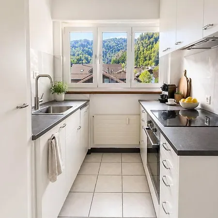 3br Topview Interlaken Mountain View Unterseen