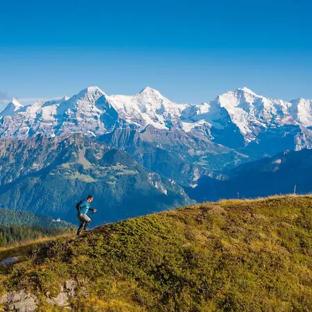 3br Topview Interlaken Mountain View Unterseen
